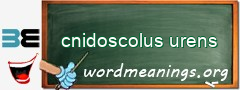 WordMeaning blackboard for cnidoscolus urens